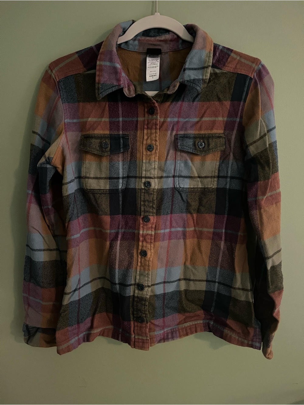 Patagonia Shirt